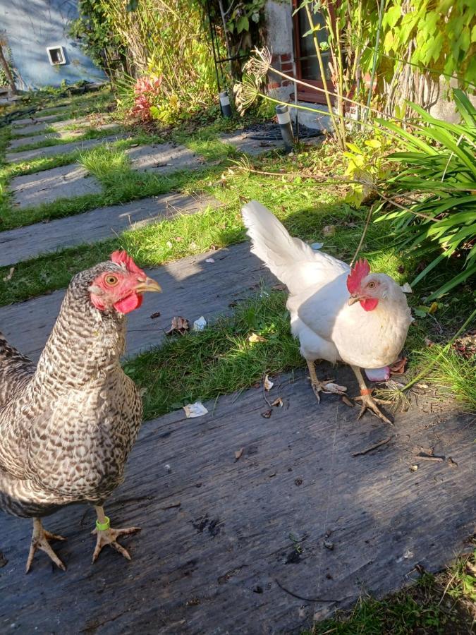 Logement Entier - Le Pigeonnier De La Plume Nantes Zewnętrze zdjęcie