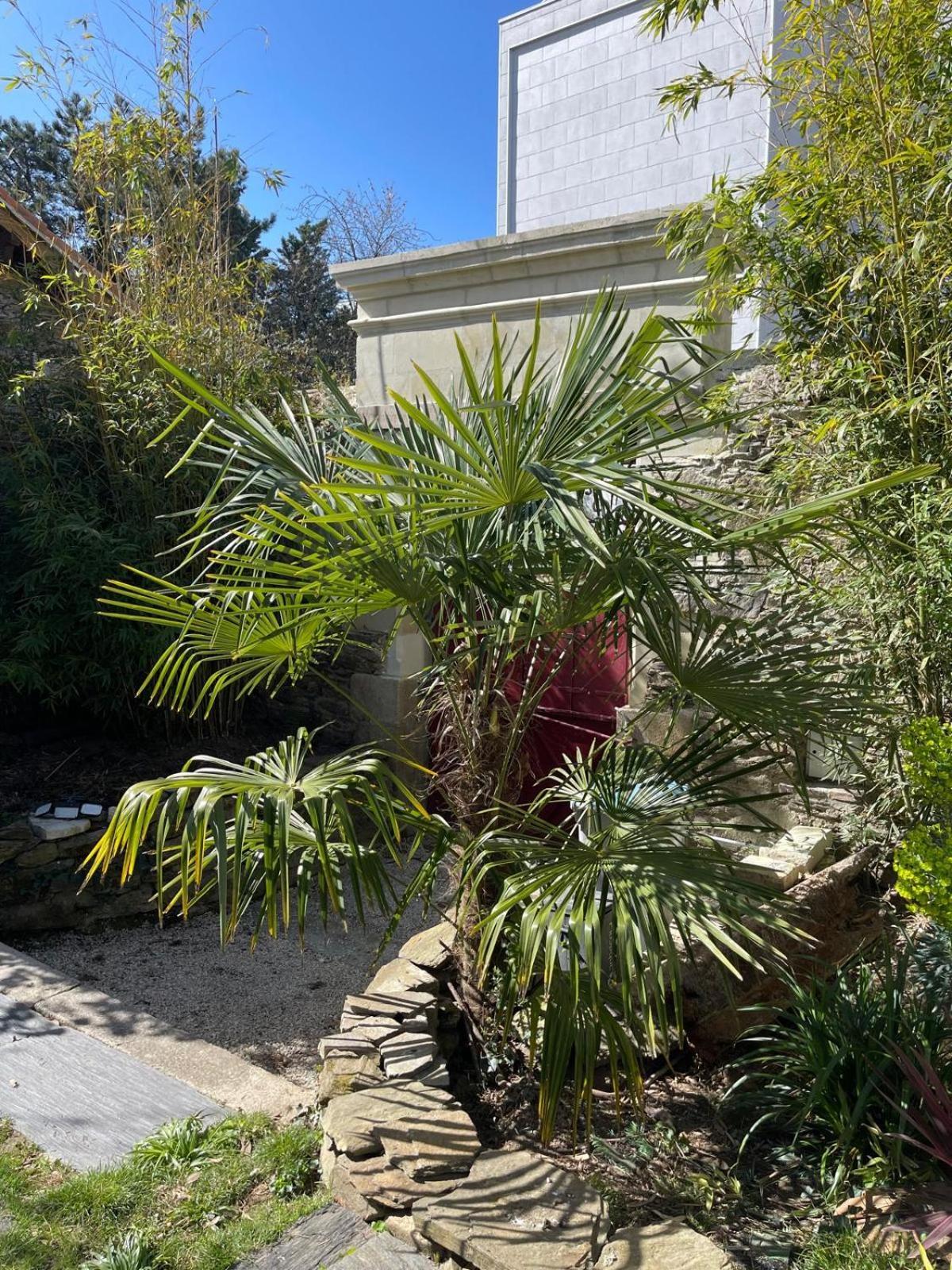 Logement Entier - Le Pigeonnier De La Plume Nantes Zewnętrze zdjęcie